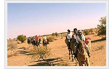 Camel Safari - Rajasthan
