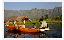 Dal Lake - Srinagar