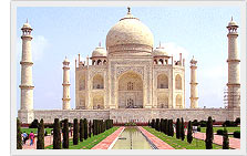Taj India